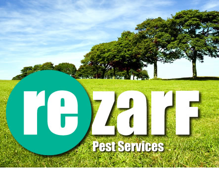 rezarf pest services